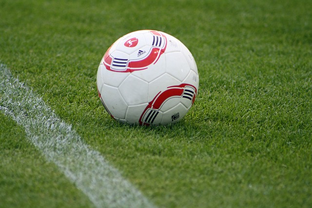 自觉地参与 自觉地参与