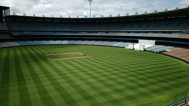 果不如预期 果不如预期