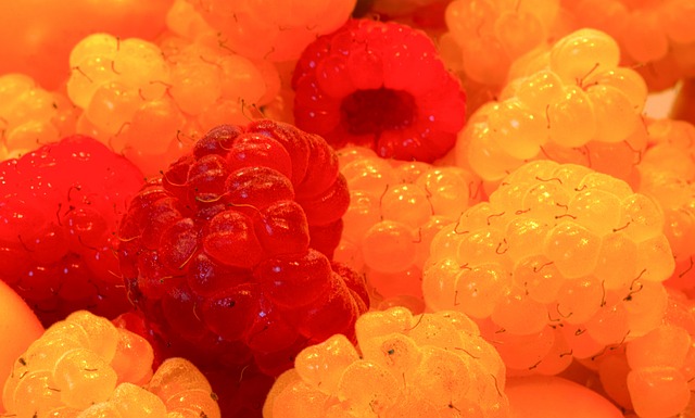 的技術能力 的技術能力