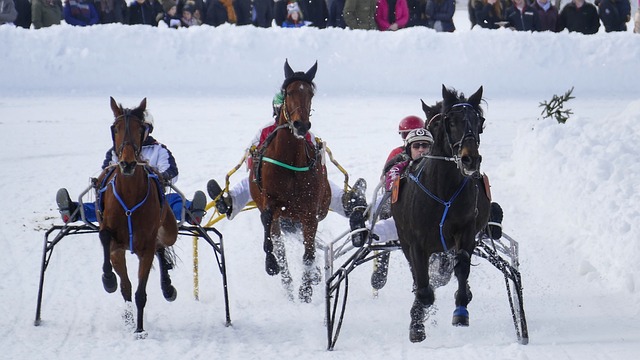 莫德里奇 莫德里奇