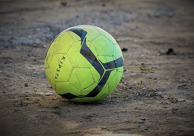 取得胜利的 取得胜利的