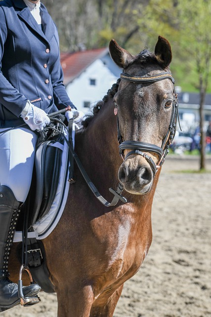 练重新考虑 练重新考虑