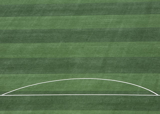 年第一季度 年第一季度