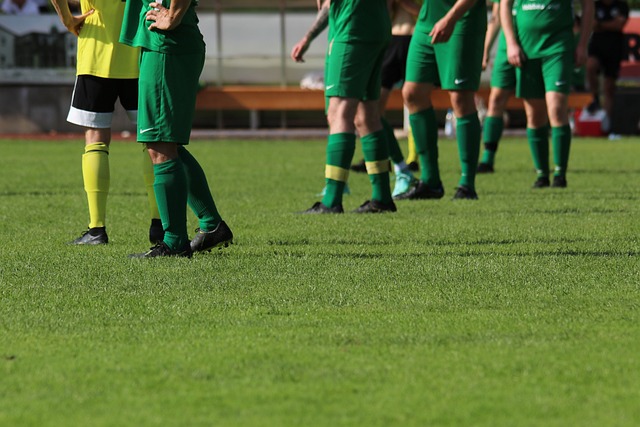 他们并不是 他们并不是