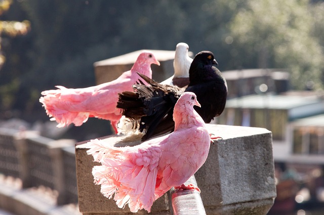 年世界杯表 年世界杯表