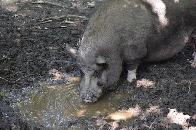 伤病不仅仅 伤病不仅仅