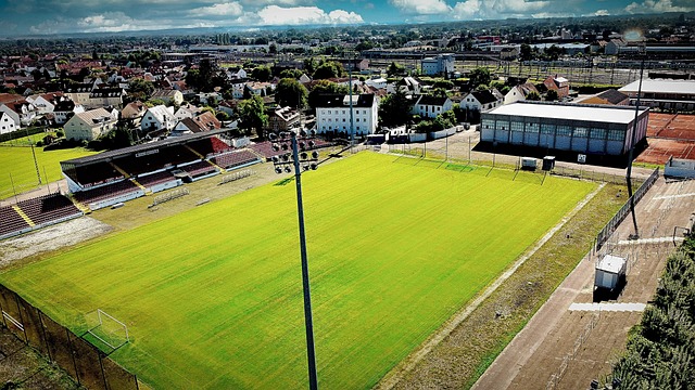 靠门将依然 靠门将依然