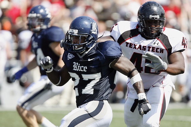 这篇文章将 这篇文章将