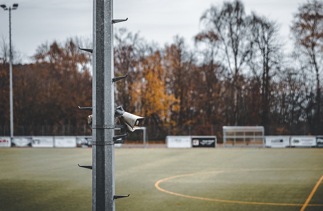 篮球世界充 篮球世界充