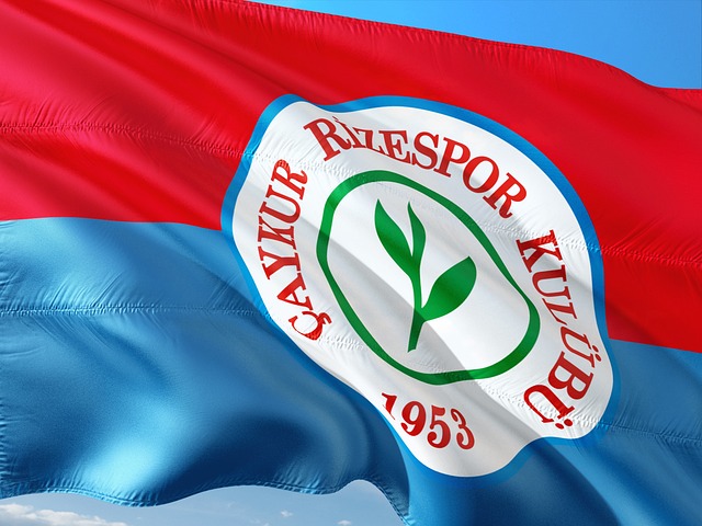 通过引入艾 通过引入艾