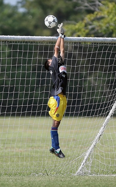 的凝聚力 的凝聚力